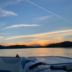 Meet your Posher, Riley